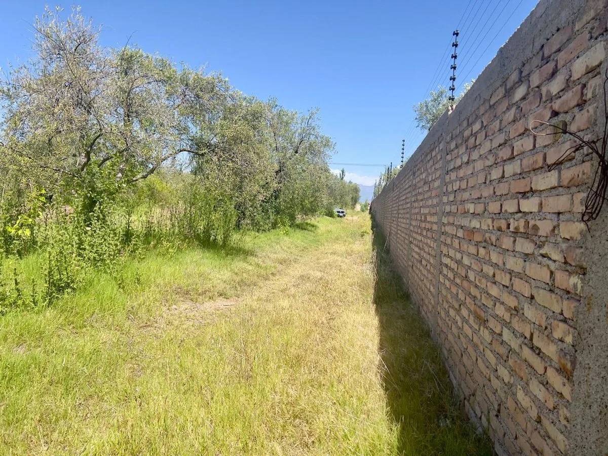 VENTA LOTE 5.438 m2 .RUSSELL . MAIPU foto 2