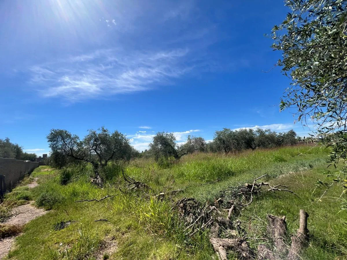 VENTA LOTE 5.438 m2 .RUSSELL . MAIPU foto 3