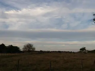 Se venden 7 Hectáreas en Villa Constitucion POsibilidad de desarollo industrial o comercial foto 2