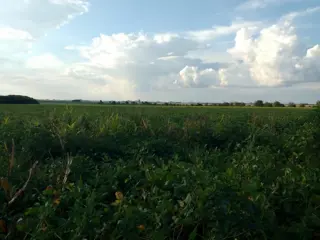 Se venden 7 Hectáreas en Villa Constitucion POsibilidad de desarollo industrial o comercial foto 3