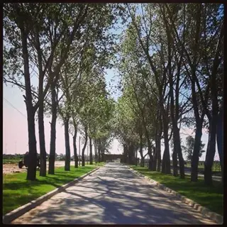 lote en venta en pesos foto 5