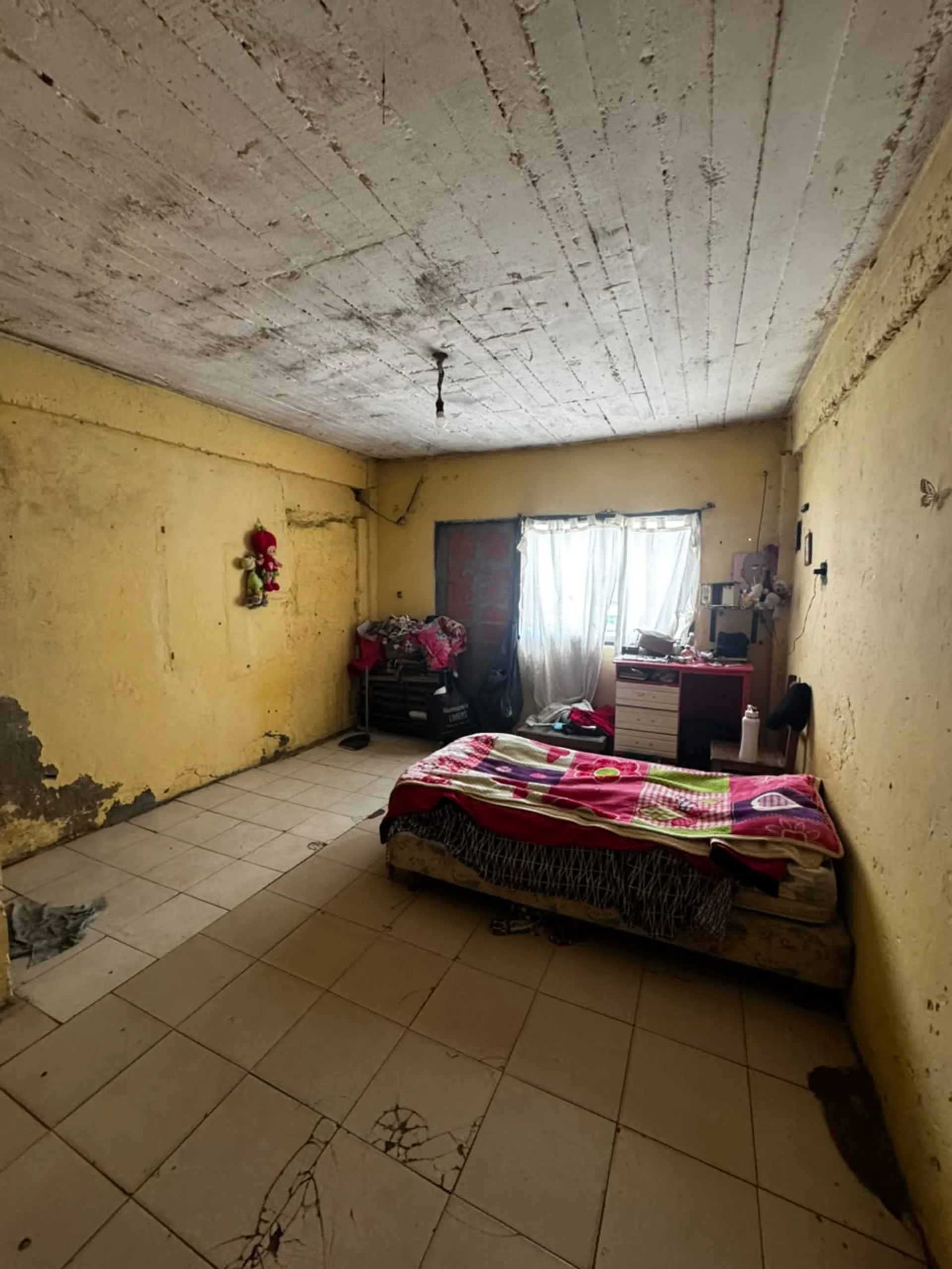 LOTE DE 300 M² – 10 X 30 – OPORTUNIDAD TRUJUI foto 3