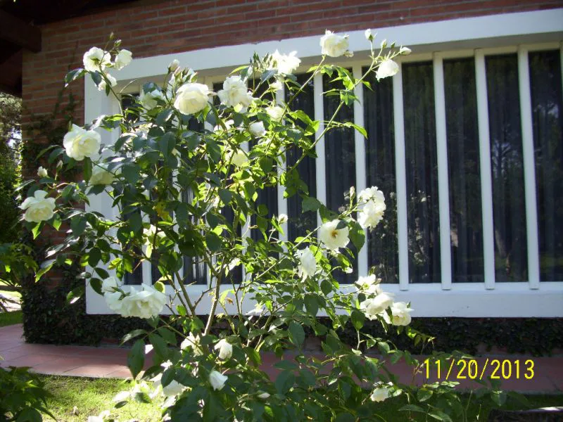 4-bedroom house in Pinamar – photo 23 of 26