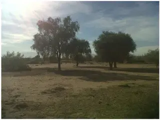Terrenos Lotes oportunidad en San Luis!! a 5 minutos de la ciudad sobre ruta 7 foto 1