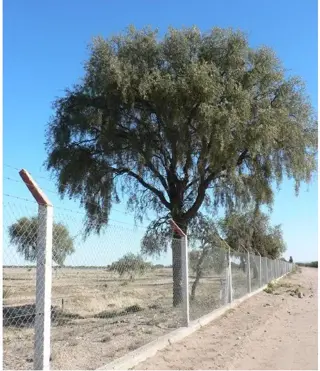 Terrenos Lotes oportunidad en San Luis!! a 5 minutos de la ciudad sobre ruta 7 foto 4
