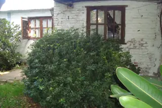ADROGUE: OPORTUNIDAD !! CASA C/4 DORMIT,GARAJE Y DEPTO FDO C/3 HABITAC.EXC UBICAC.IDEAL VIVIENDA O DESARROLLO INMOBILIARIO. APTO CRED.HIP.GALICIA/SANT foto 5