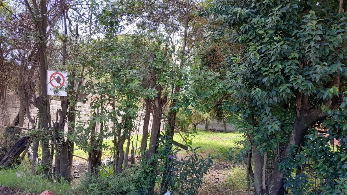 VENTA Terreno en Sauce Viejo de 395m2 foto 5