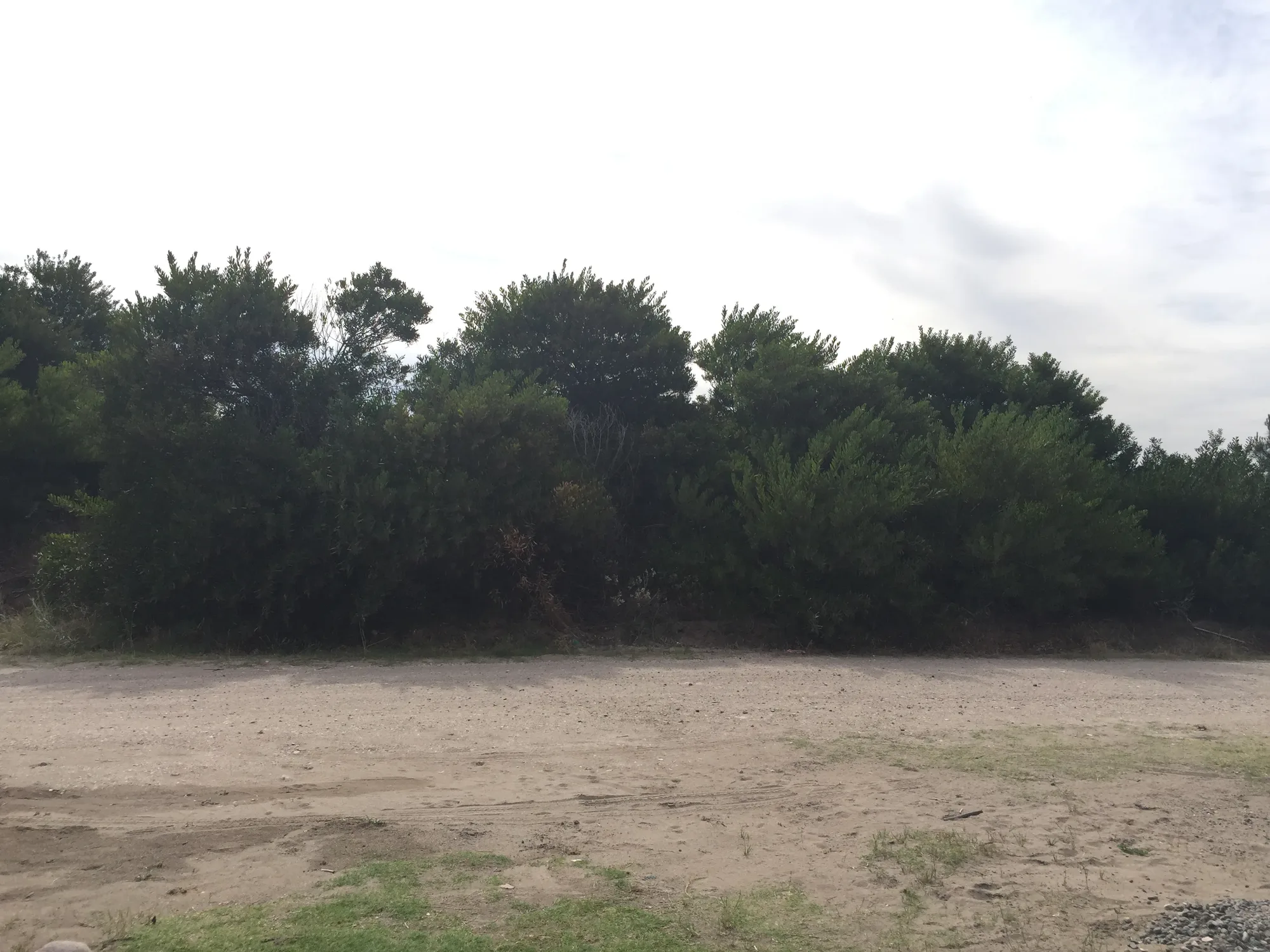 House in Monte Hermoso – photo 3 of 16