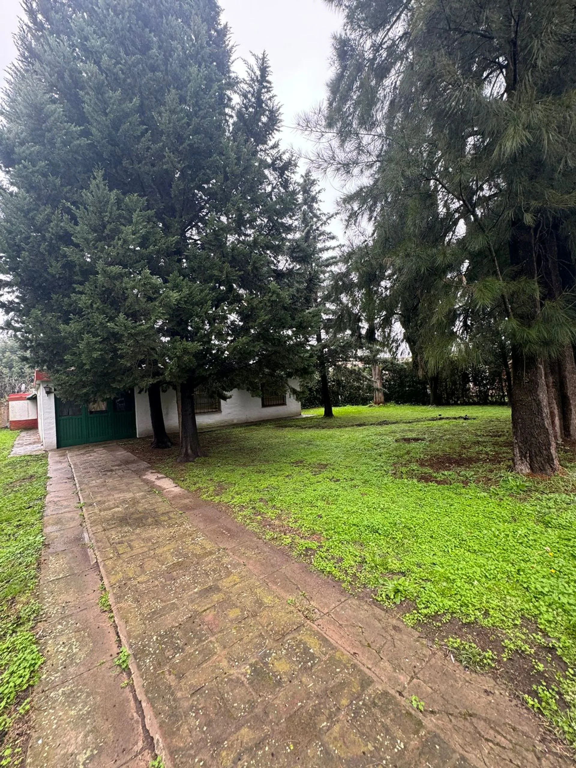 VENTA CASA QUINTA APTA CREDITO TRISTAN SUAREZ foto 3