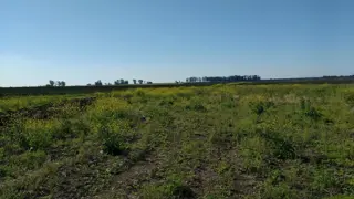 VENDO CAMPO DE 139 HAS AGRICOLAS foto 1