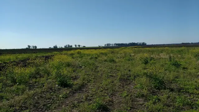 VENDO CAMPO DE 139 HAS AGRICOLAS