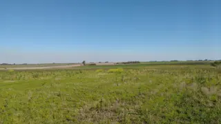 VENDO CAMPO DE 139 HAS AGRICOLAS foto 2
