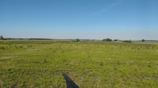 VENDO CAMPO DE 139 HAS AGRICOLAS foto 3
