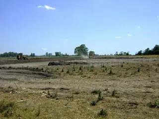 CAMPOS DE VICTORIA CANNING! ULTIMOS LOTES. foto 2