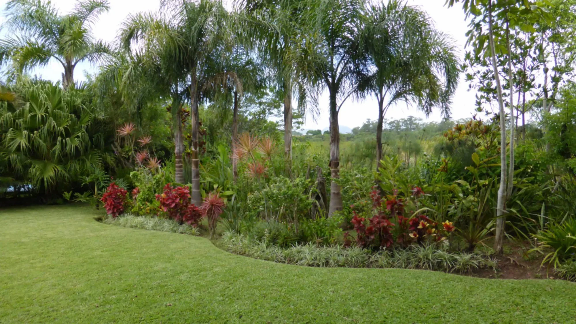 House in San Nicolás – photo 12 of 42