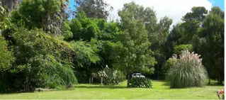 CAMPO en VENTA en Punta Indio 10 hectáreas muchas mejoras U$S 259.000 foto 2