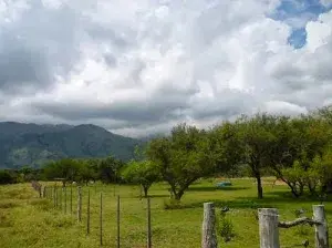 Oportunidad en San Luis! Ultimo Lote 785m2 $170.000 excepcional entorno serrano foto 3