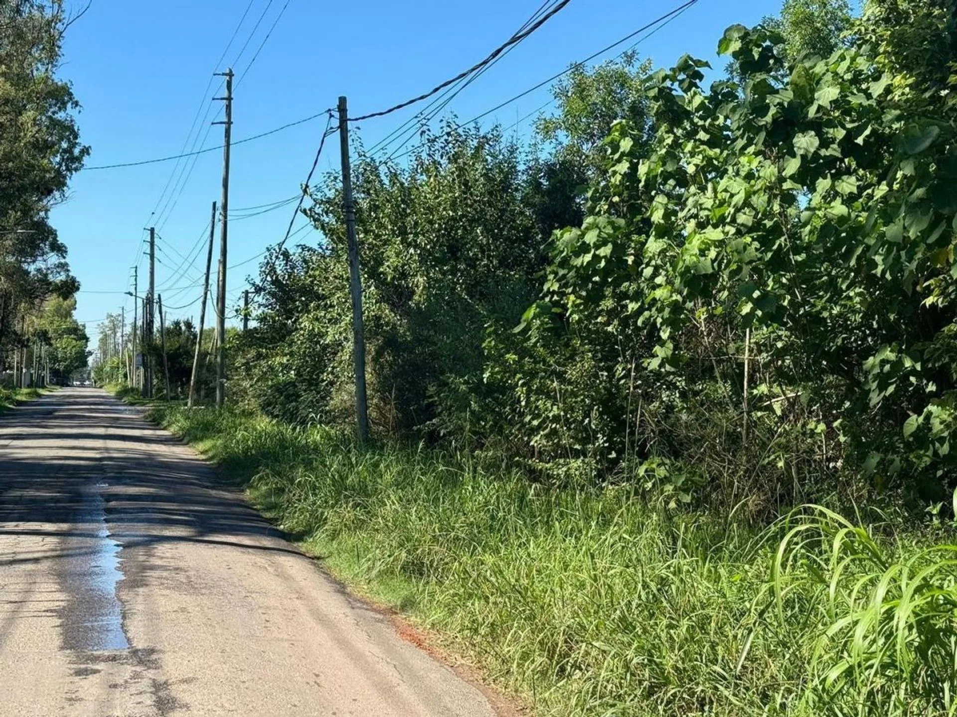 VENTA LOTE  VILLA ROSA PILAR foto 3