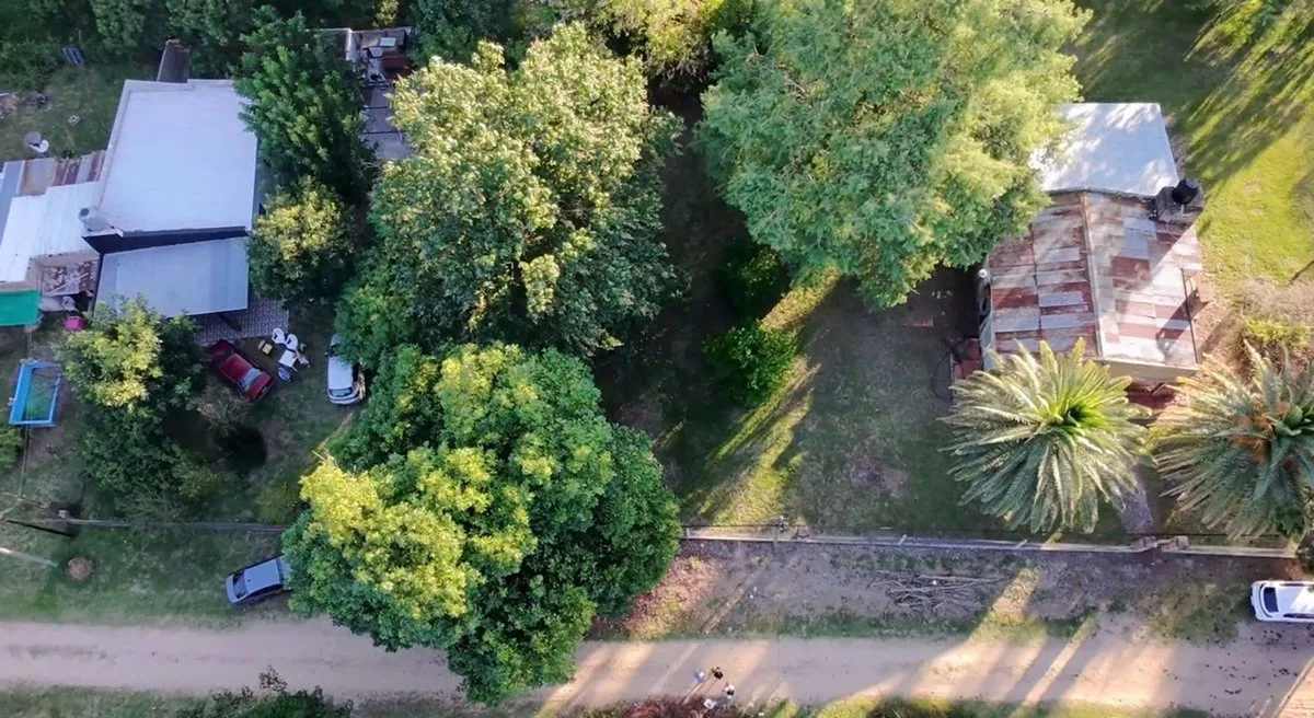 VENTA TERRENO CERCADO, FORESTADO VILLA CALIFORNIA foto 3