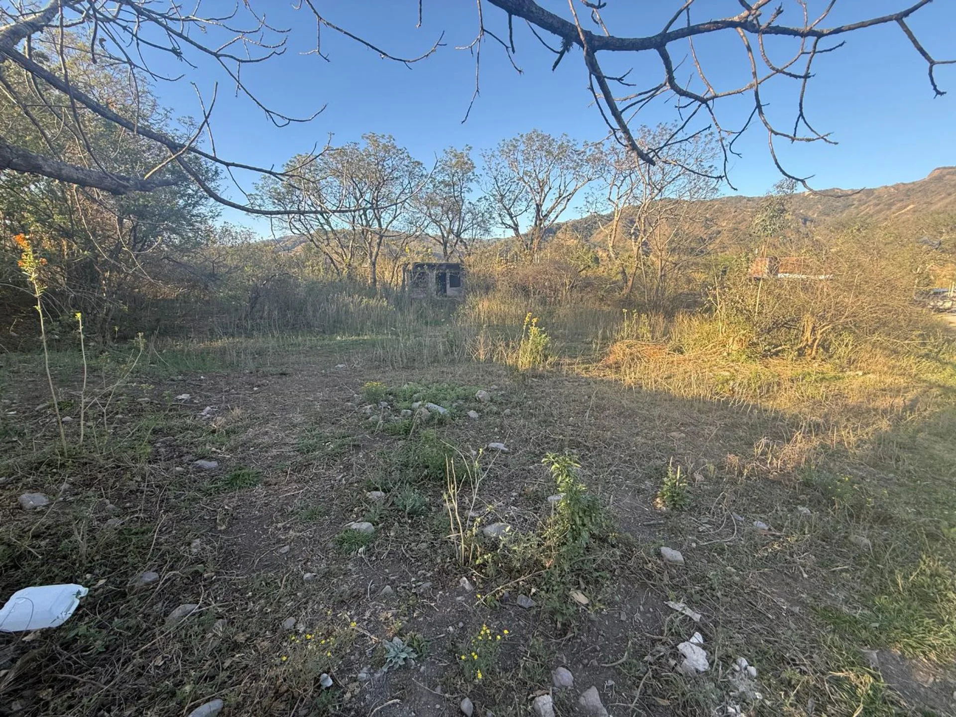 VENTA TERRENO 1.575 M2 LOZANO foto 2
