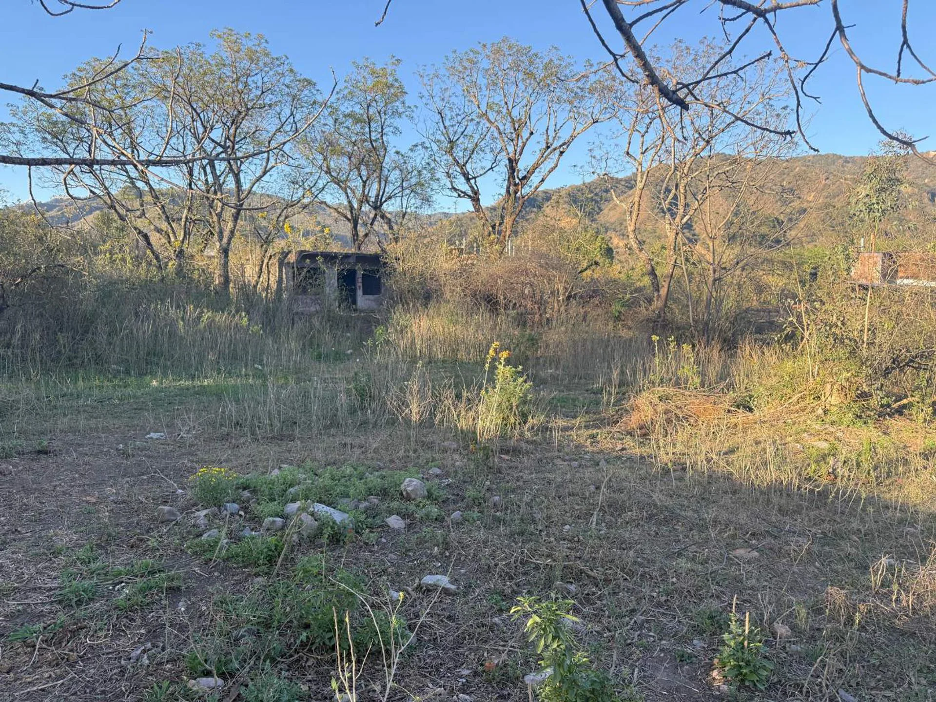 VENTA TERRENO 1.575 M2 LOZANO foto 3