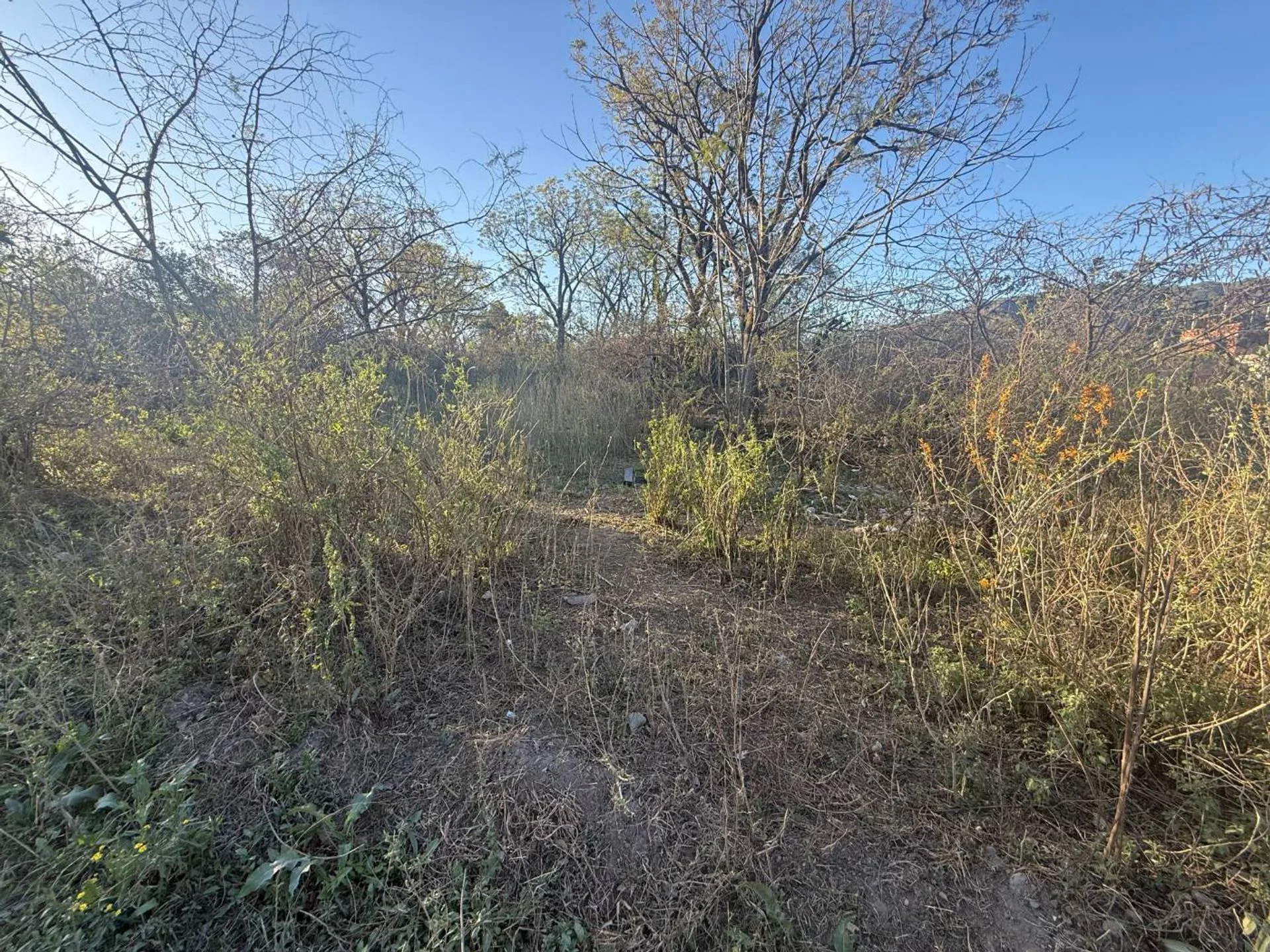 VENTA TERRENO 1.575 M2 LOZANO foto 4