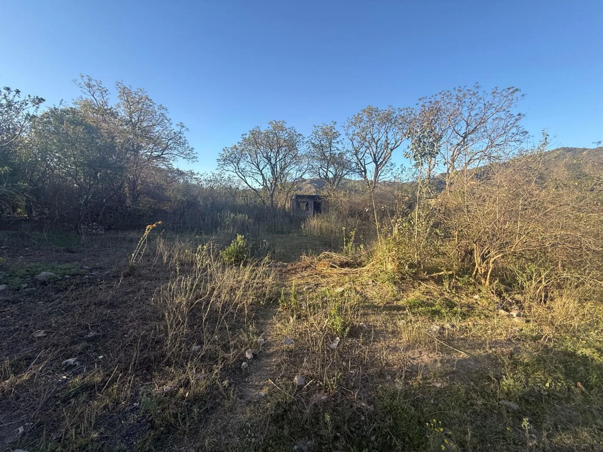 VENTA TERRENO 1.575 M2 LOZANO foto 5