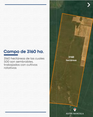 ¡Oportunidad Campo 3160 ha. Rosario de la Frontera - Salta foto 3