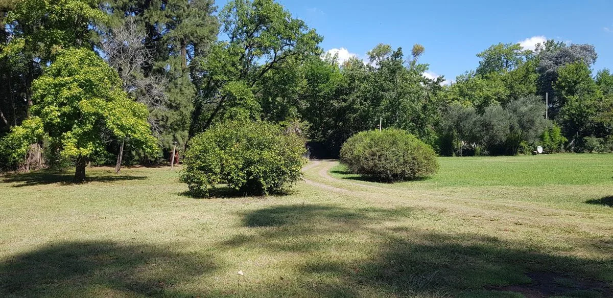 VENTA DE LOTE EN MORENO foto 4