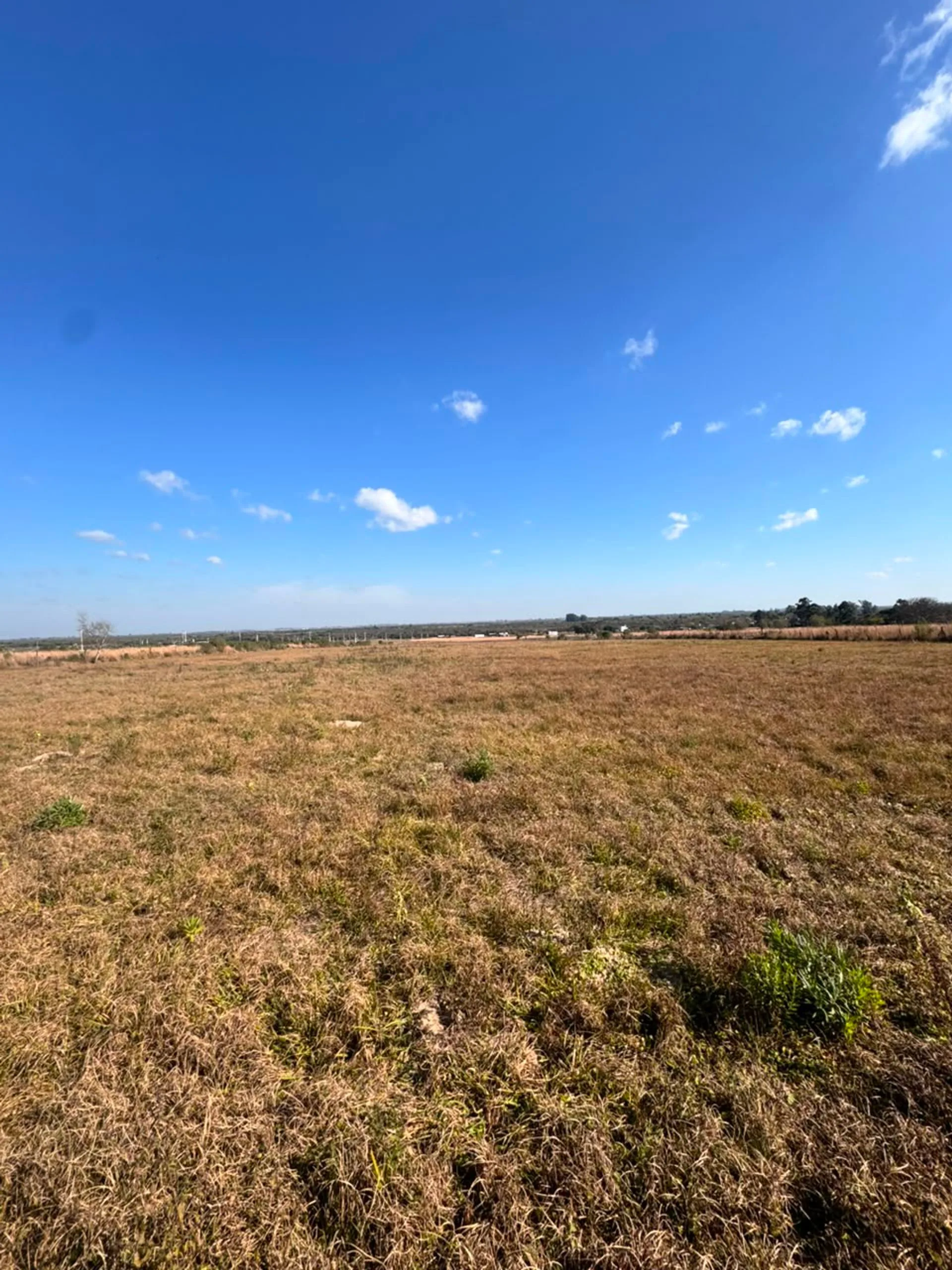 LOTES EN VENTA 100% FINANCIADO EN COLONIA foto 3