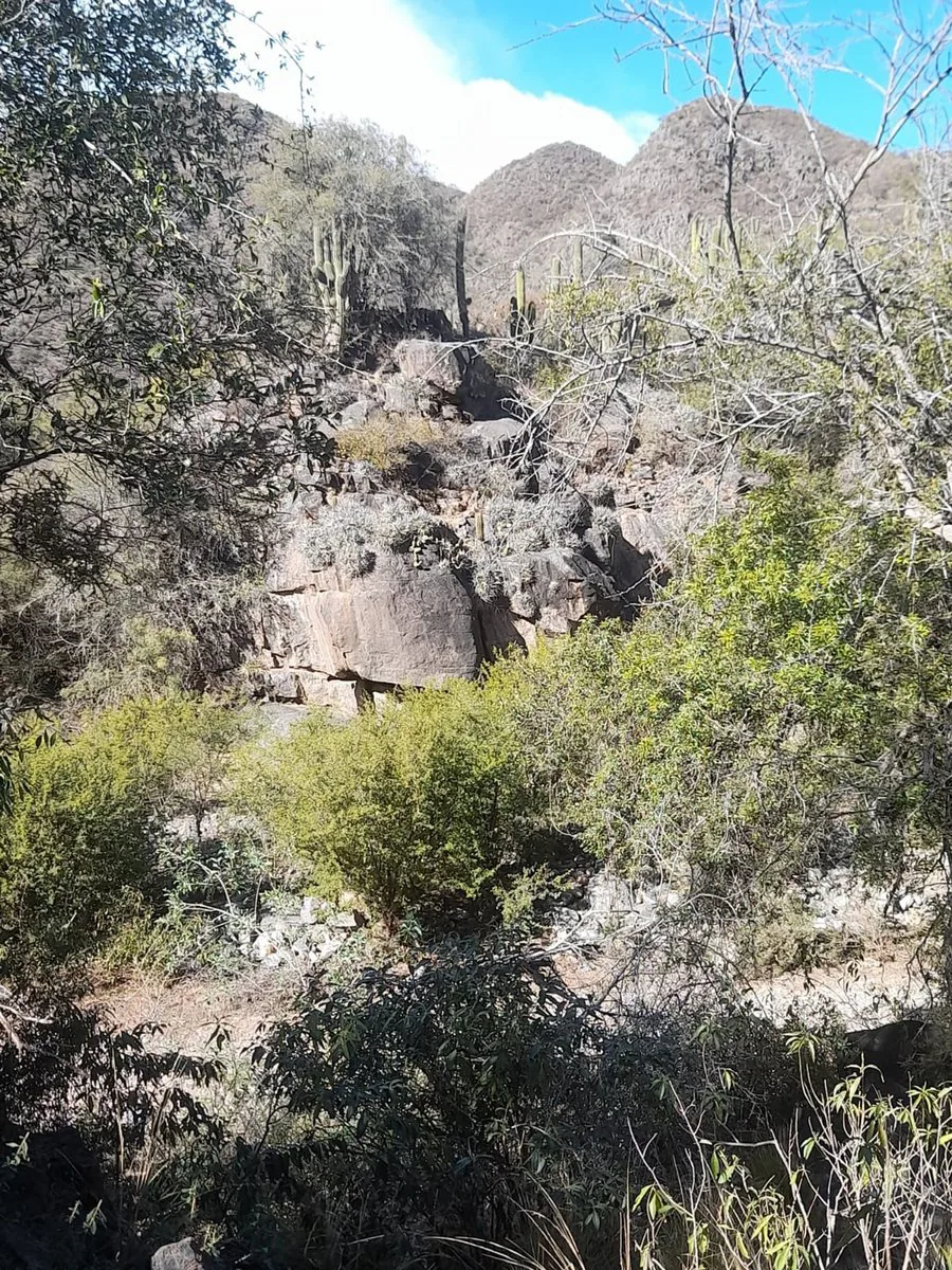 VENTA DE CAMPO DE 3399 HAS. VALLE FERTIL foto 3