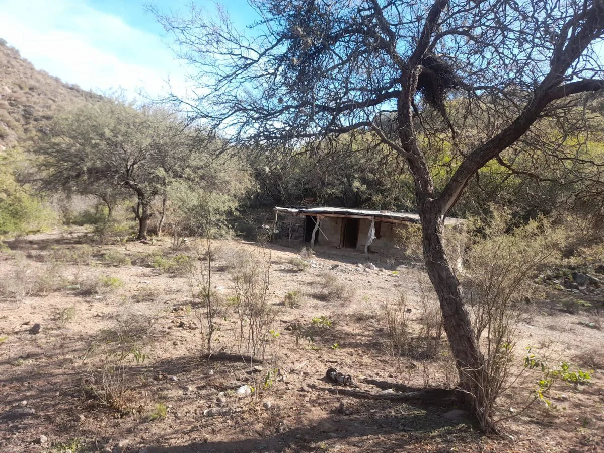 VENTA DE CAMPO DE 3399 HAS. VALLE FERTIL foto 4