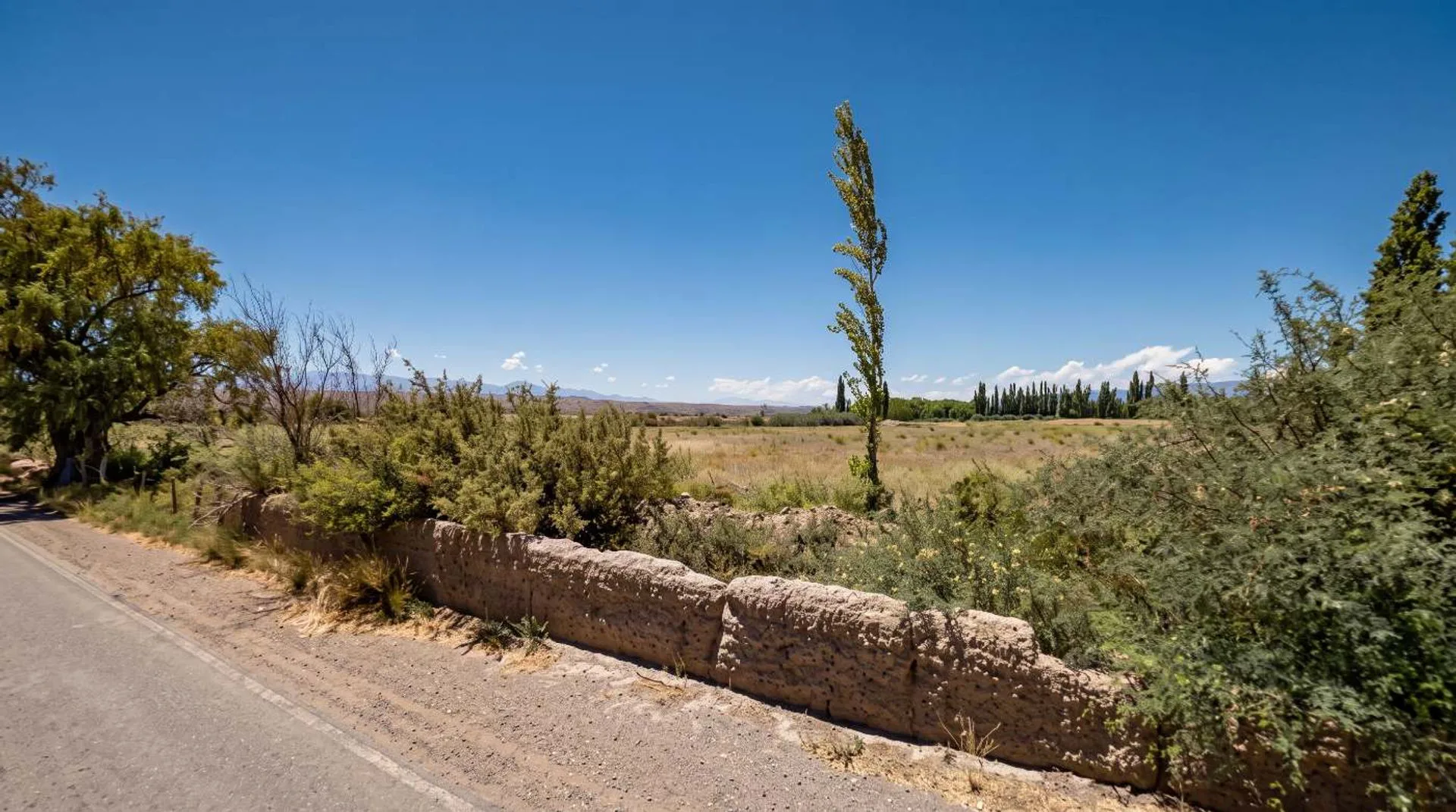 VENTA TERRENO 5.730 M² EN SOROCAYENSE CALINGASTA foto 4
