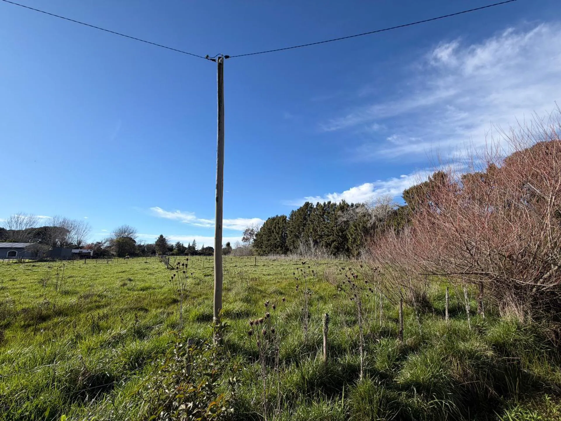 VENTA LOTE EN GENERAL MADARIAGA foto 3