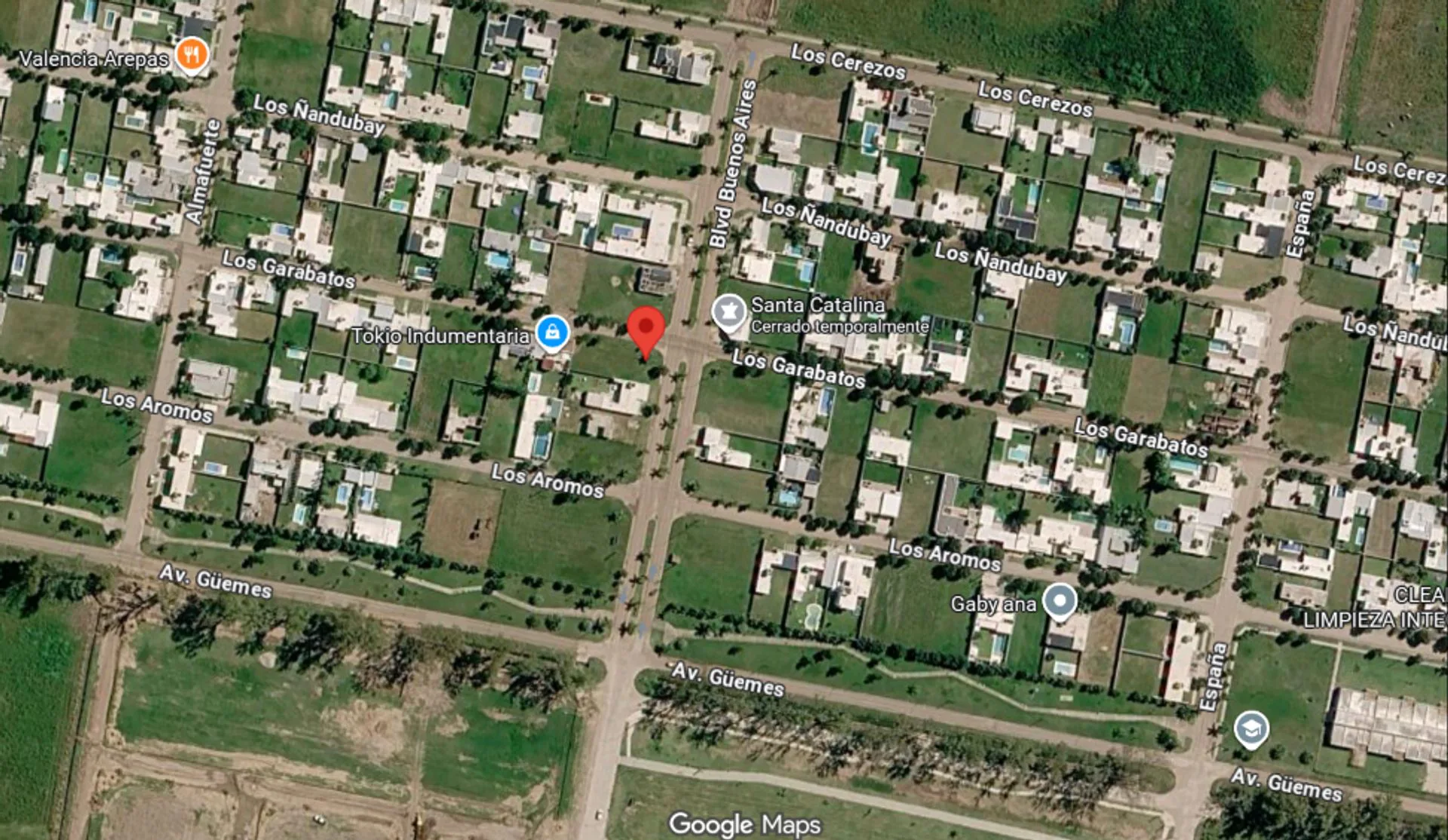 TERRENO EN PALMARES 3 - SOBRE BLVD BUENOS AIRES foto 3