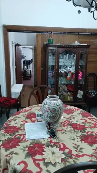 Casa de ideal de dos familias en dos plantas , Planta baja 3 amb. con Garaje jardín, fondo terraza, PA. departamento de dos ambientes. Superficie terr foto 5