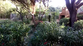 CHALET + CABAÑA / Piedra Blanca A°  SL foto 3