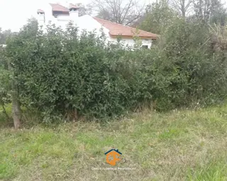 Centro De Fracción 800mts Con Casa A Reciclar En Manzanares, Pilar foto 4
