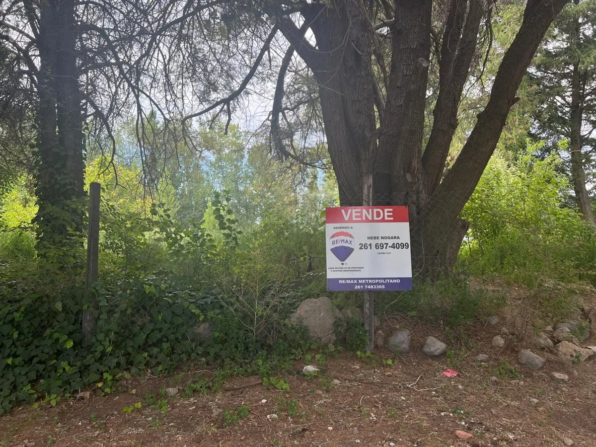 VENTA LOTE  PAREDITAS , SAN CARLOS foto 2