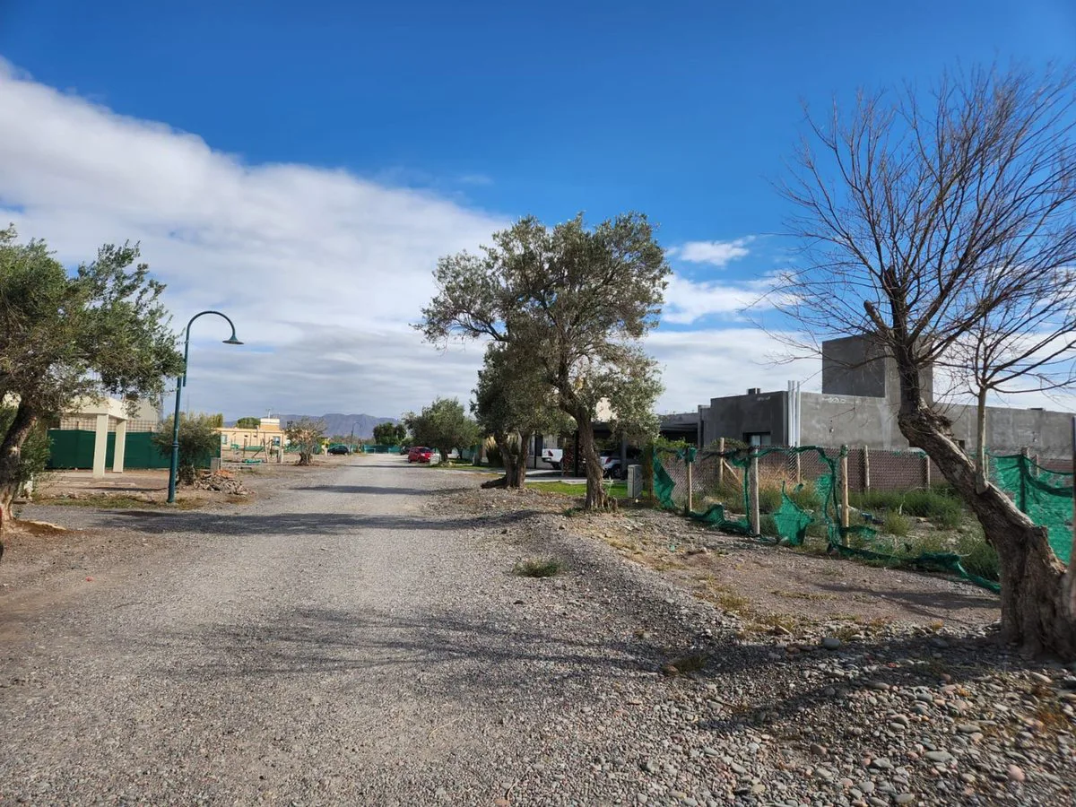 LOTE 652 M2 EN B° SAN JUAN DE LOS OLIVOS. RAWSON foto 5