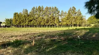 VENTA EXCELENTE LOTE EN ZAPIOLA LOBOS foto 1