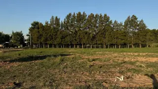 VENTA EXCELENTE LOTE EN ZAPIOLA LOBOS foto 3