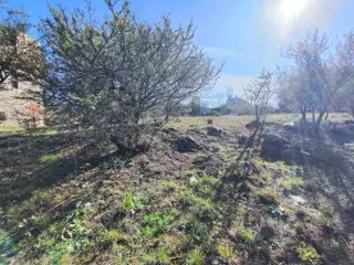 TERRENO EN VENTA EN SAN ANTONIO DE ARREDONDO, CORDOBA foto 4