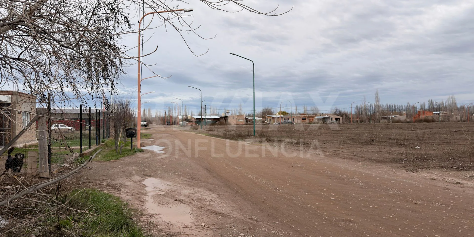 VENTA DE LOTE EN BARRIO LOS SAUCES FERNANDEZ ORO foto 4
