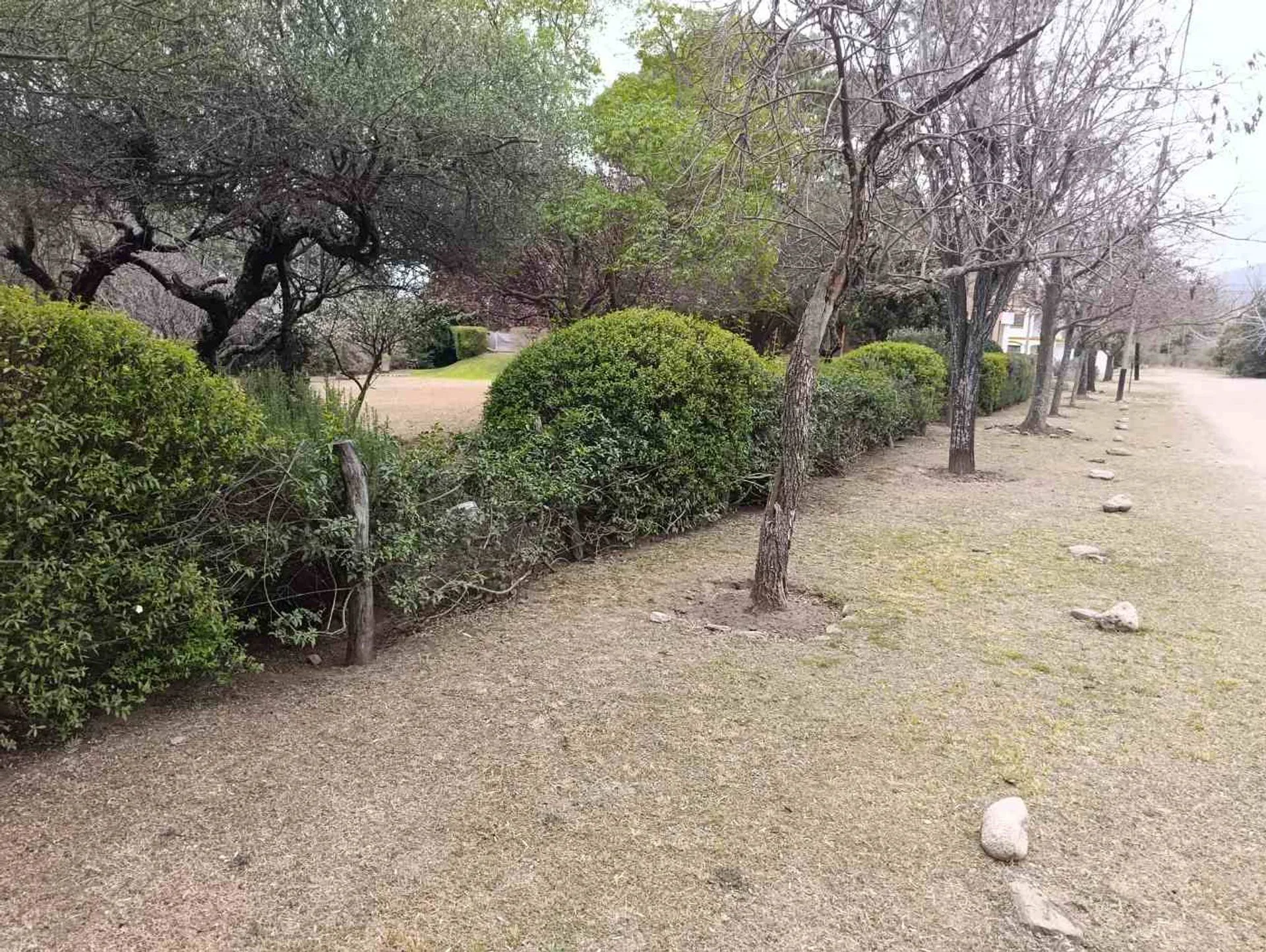 Hermoso lote a 200 metros de Av. del Sol, Merlo foto 3