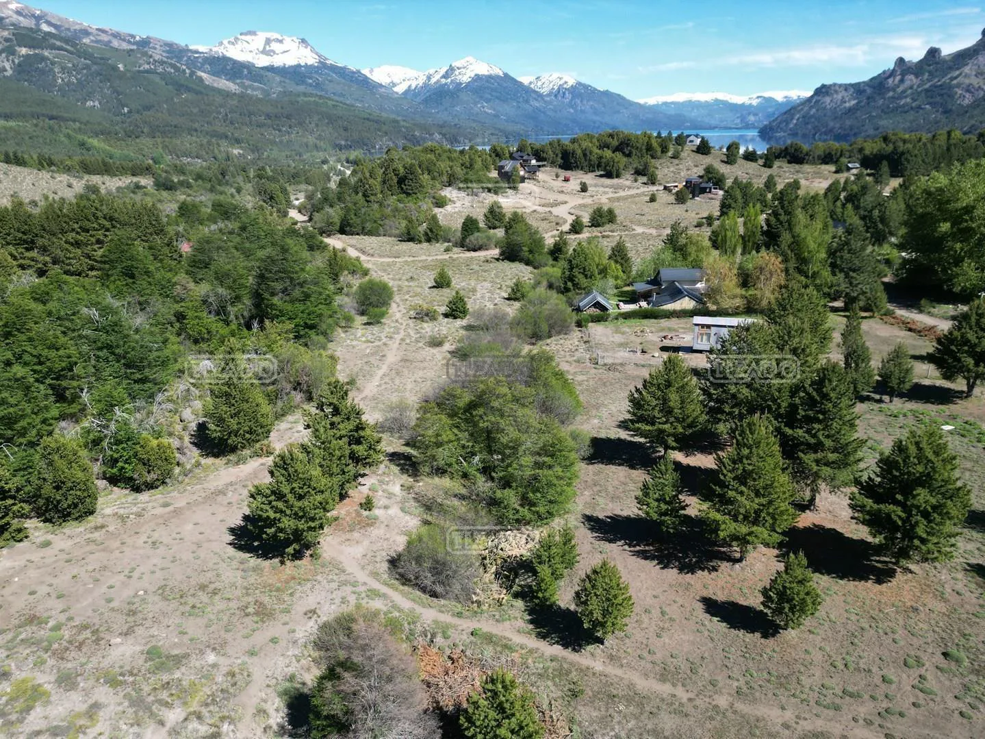 Las Jorgelinas foto 2
