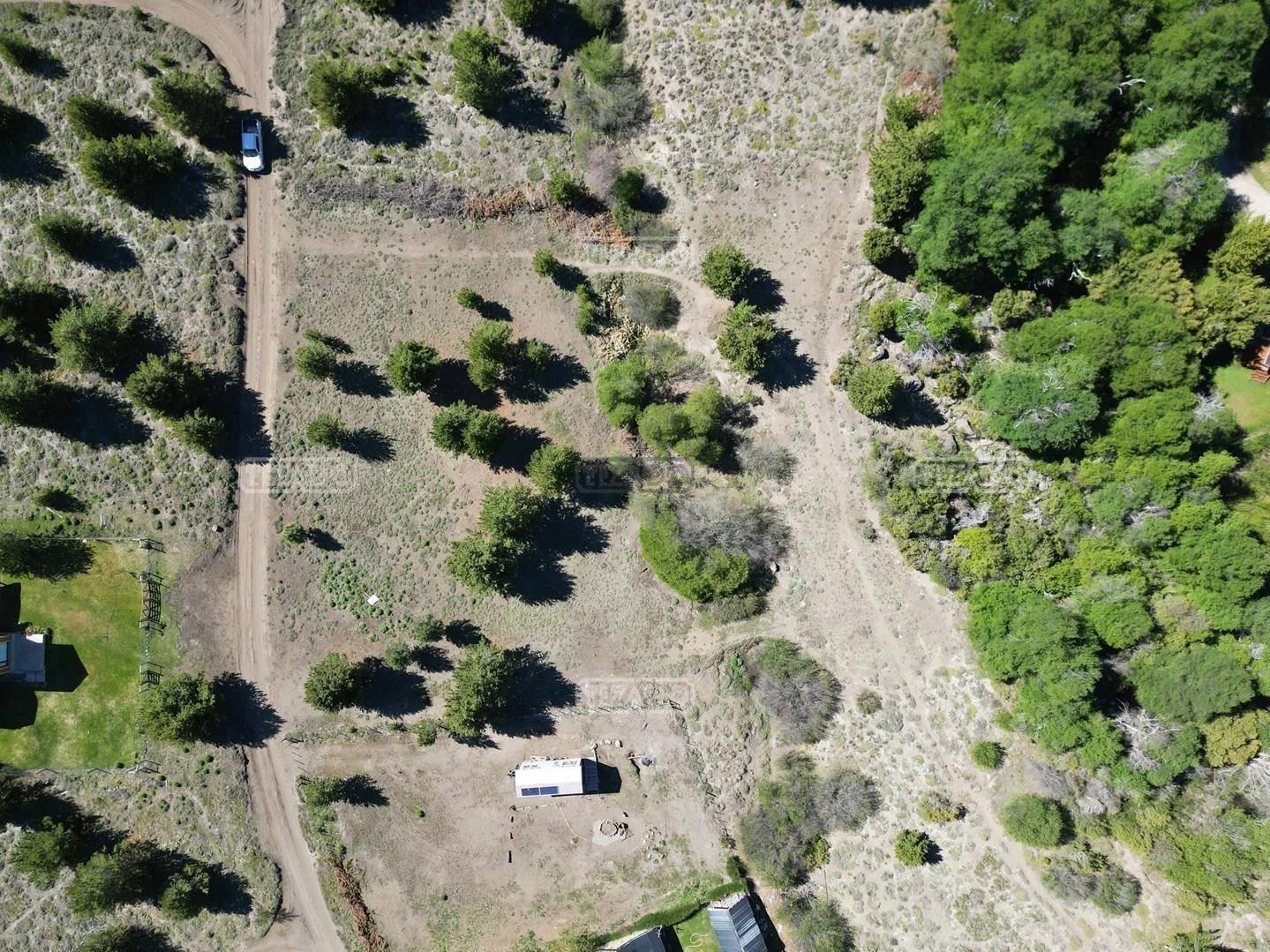 Las Jorgelinas foto 3