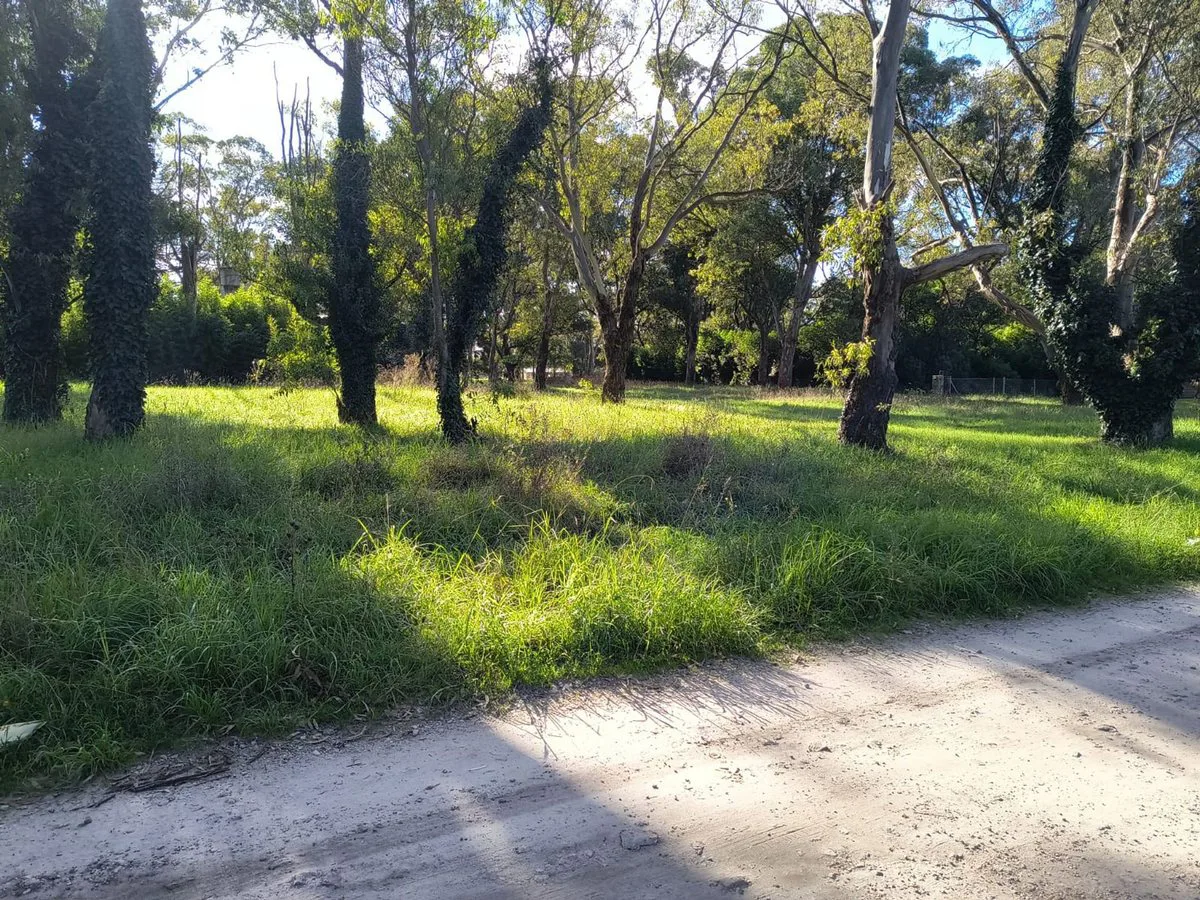 VENTA LOTE 700 MTR2 - SANTA CELINA foto 3