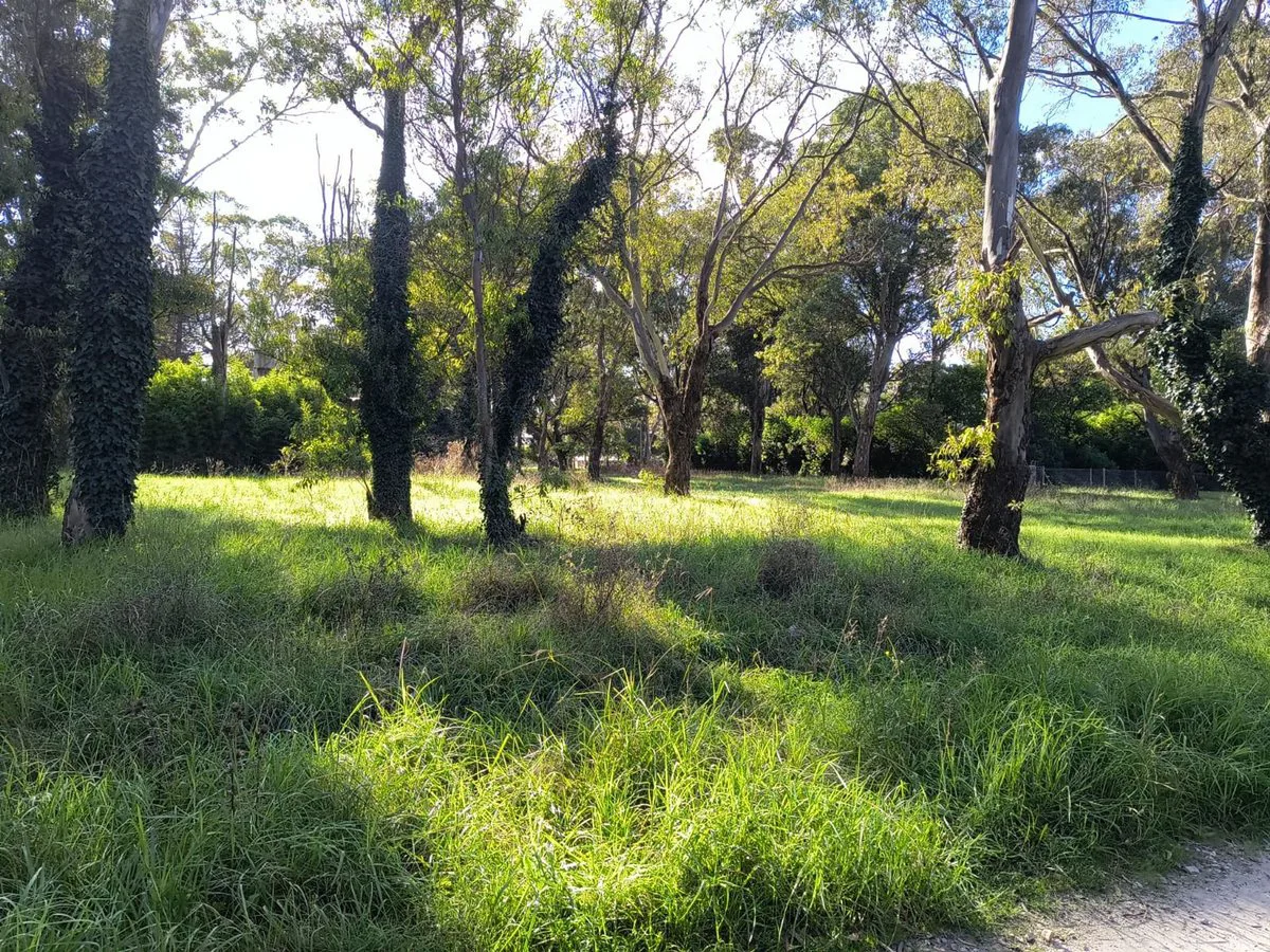 VENTA LOTE 700 MTR2 - SANTA CELINA foto 4