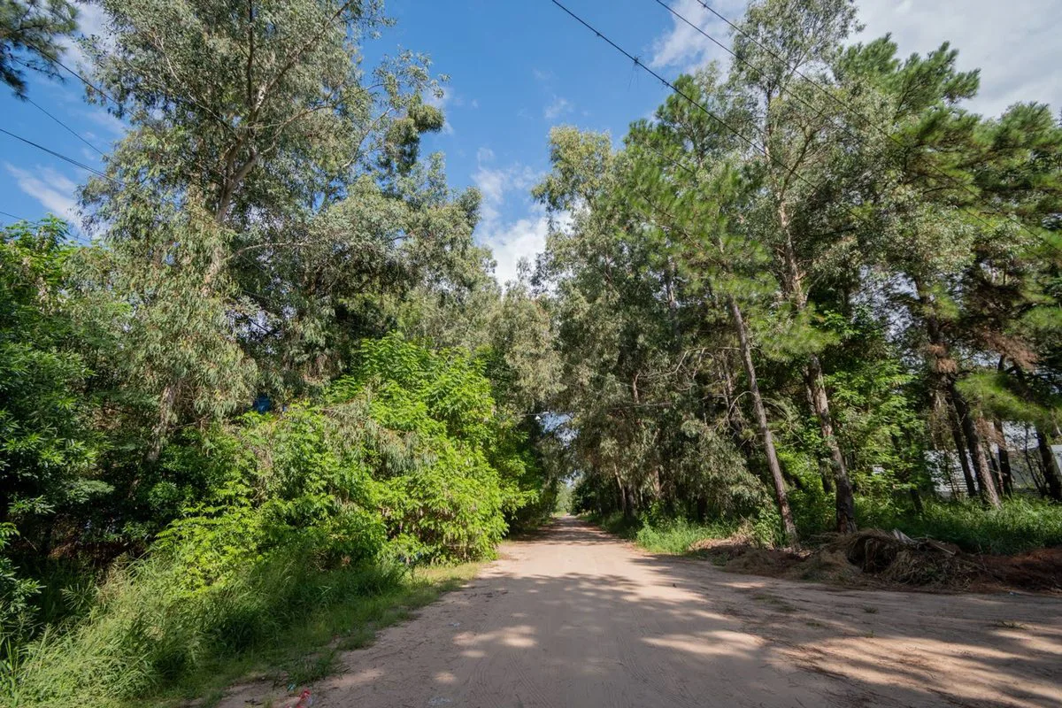 Lote de 627 m2 en Rincón, km 10 foto 5